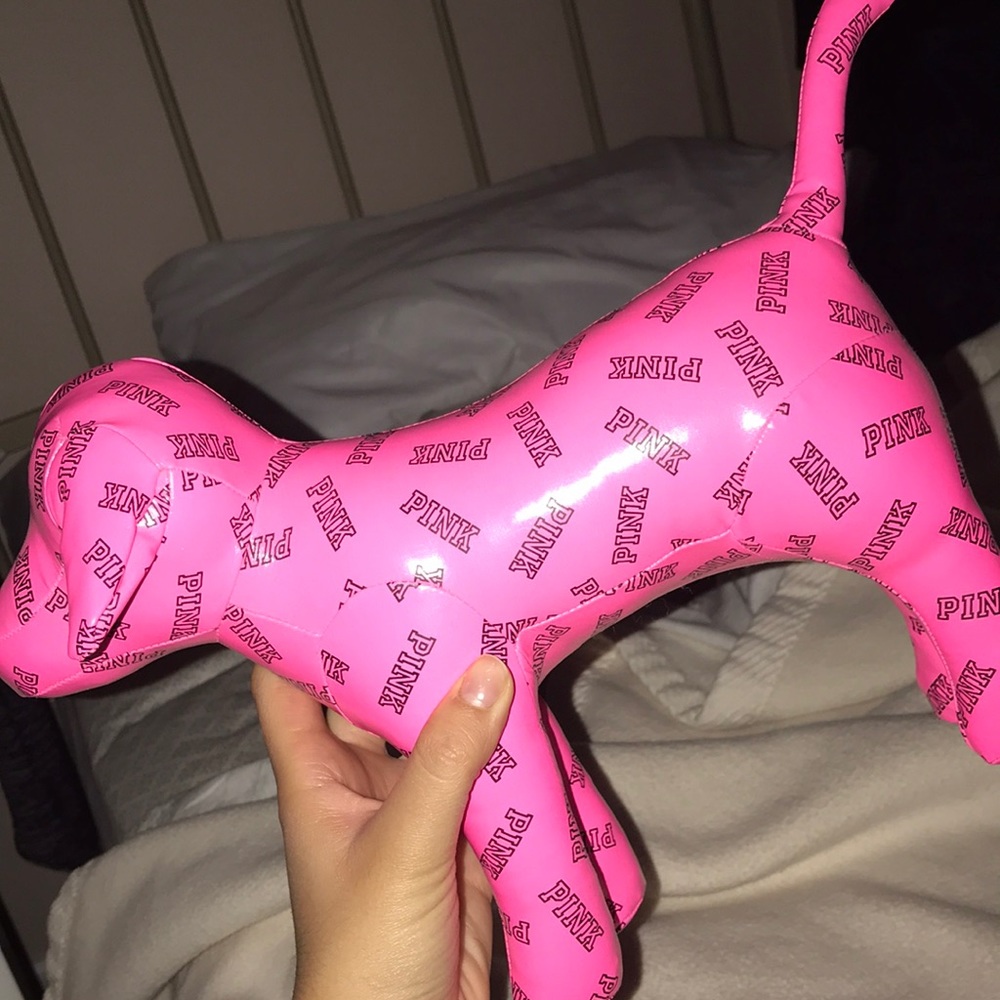 VS BIG PINK DOG